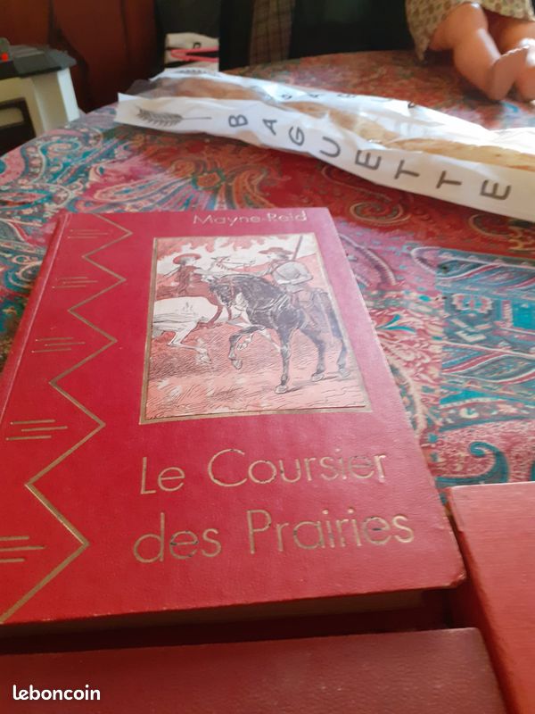 Livre ancien (image 2)