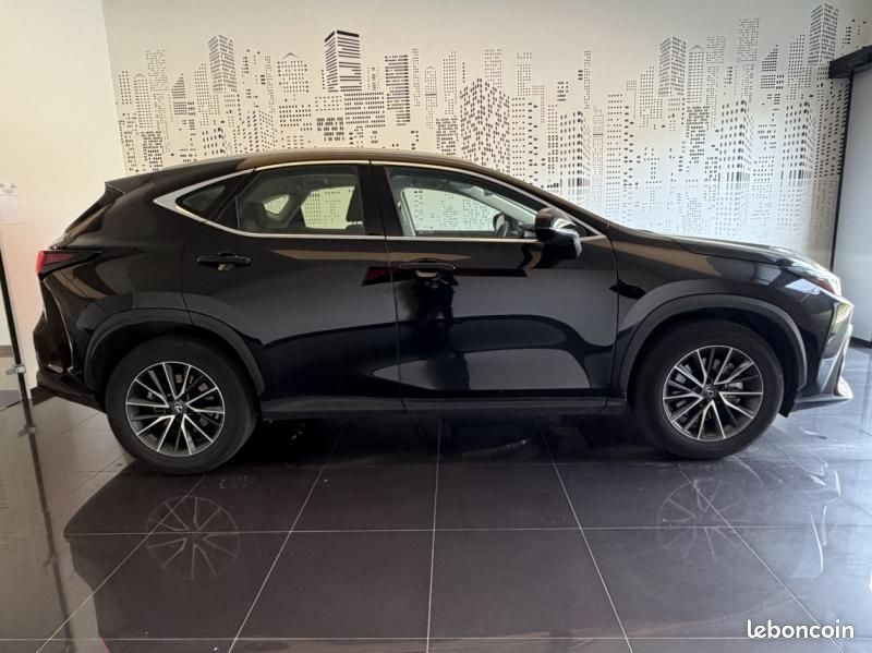 Lexus NX 350h Pack 2WD MY25 (image 7)