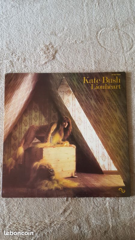 Disque vinyle 33T - Kate Bush (image 1)