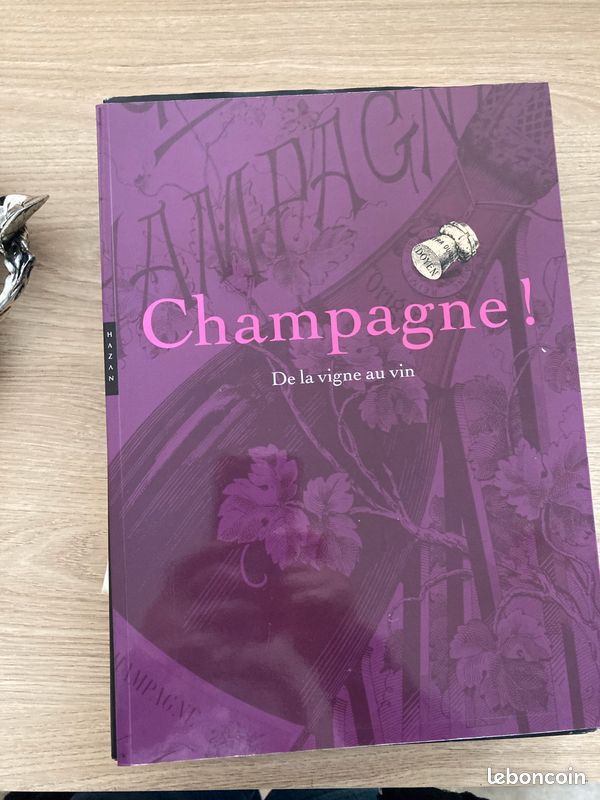 Livre sur le champagne (image 1)