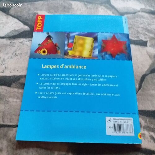 [Livre] LAMPES D'AMBIANCE - Bon état (image 3)