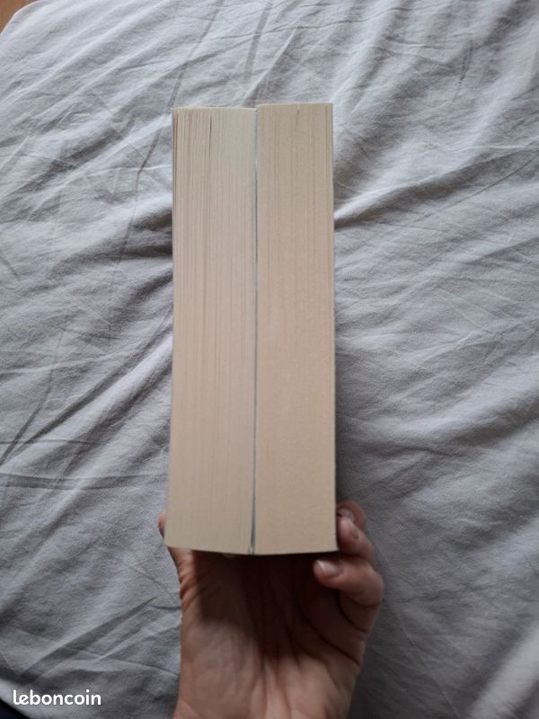 Lot de livres brochés "The Devil's Sons" Tomes 1 & 2 (image 5)