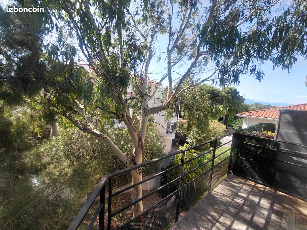 Appartement 2 pièces 38 m² · à Perpignan · 38 m² · 550 €