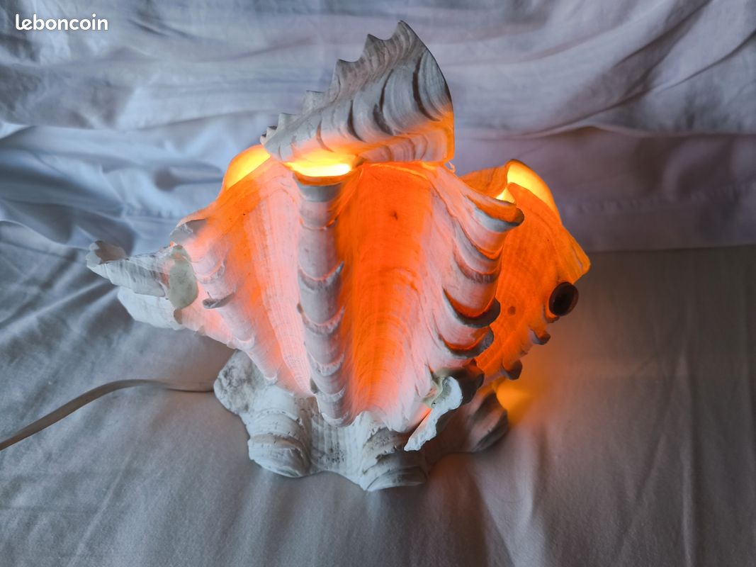 Lampe corail (image 1)