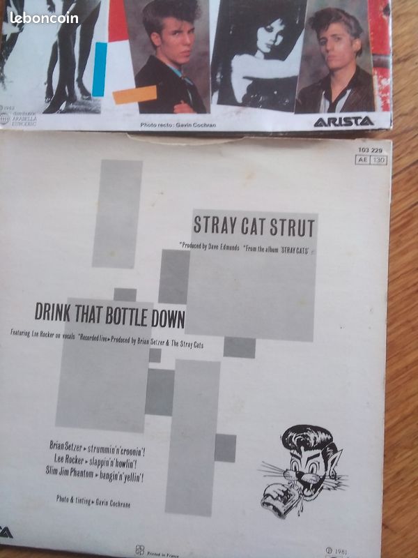 Stray Cats (image 4)