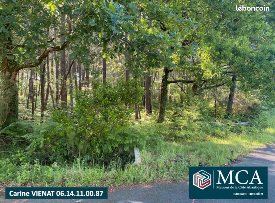 Terrain 650 m² · à Sanguinet · 229 000 €