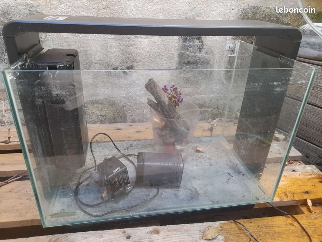 Aquarium 60 L avec pompe et accessoires (image 1)