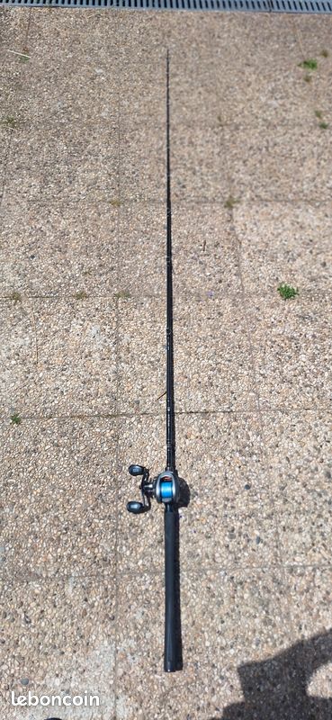 Canne daiwa exceller et abu garcia max 41 (image 4)