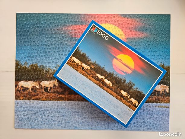 Puzzle 1000 pièces - Chevaux : Mangalarga Marchador