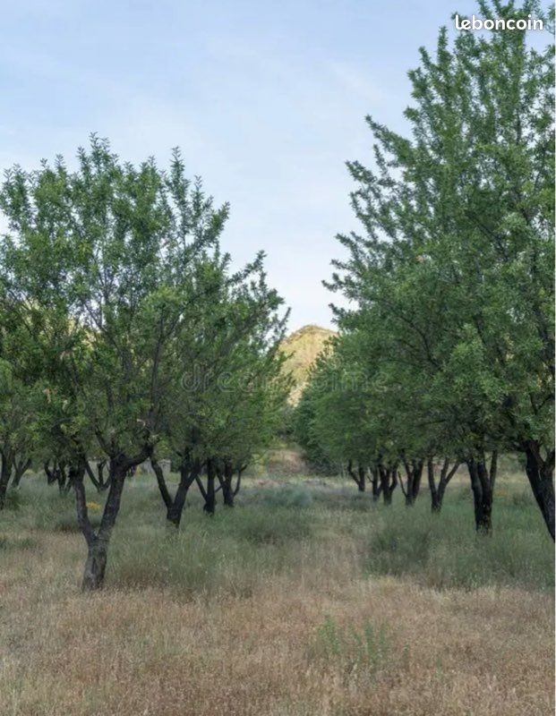 Recherches terrain agricole · à Ajaccio · 450 000 €
