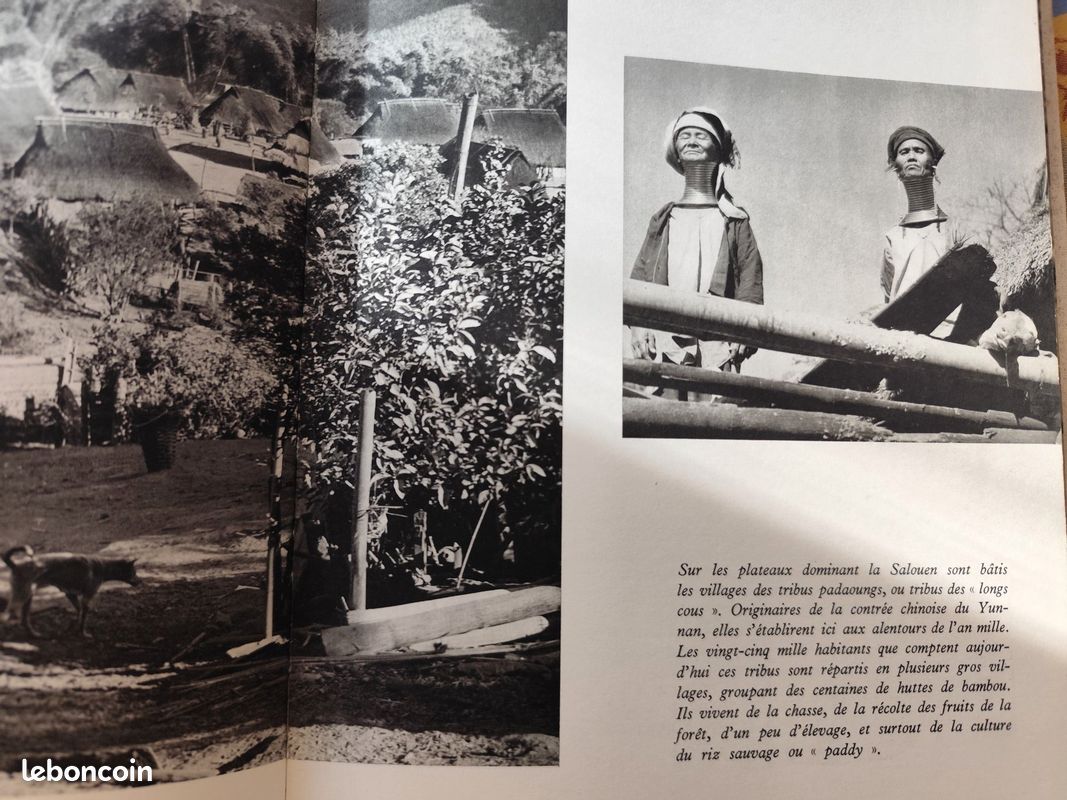 Au pays des femmes girafes de Golish (image 3)