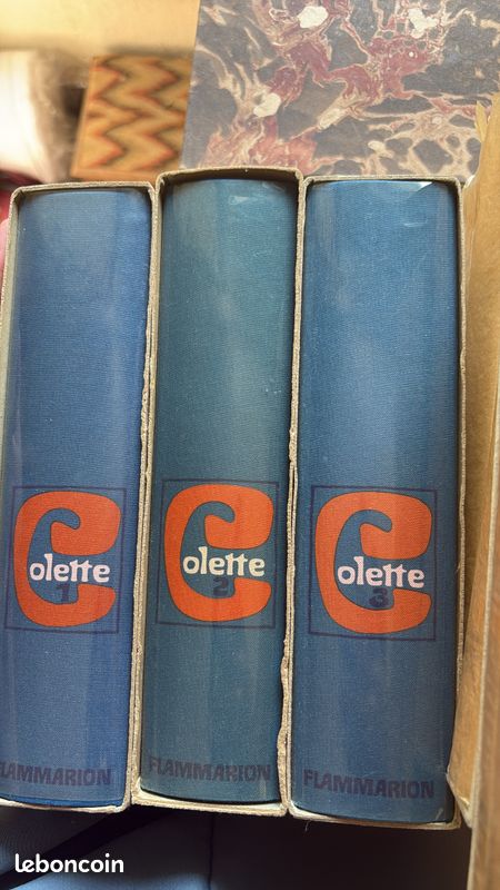 Coffret Oeuvres Colette 3 volumes illustrés Flammarion (image 3)
