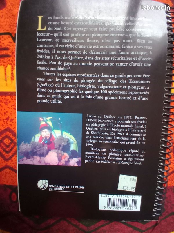 La faune sous marine du Saint Laurent (image 4)