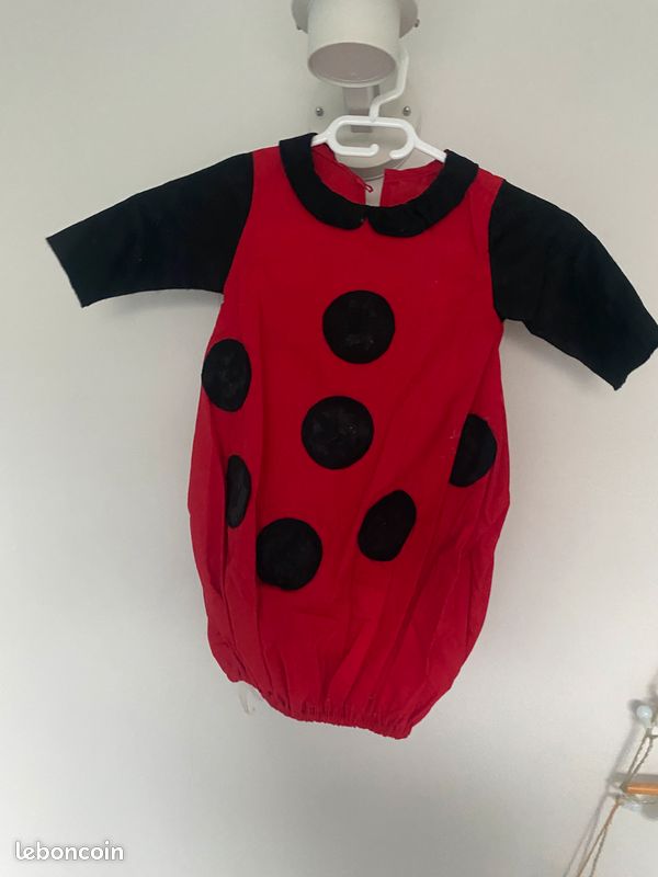 Déguisement coccinelle (image 2)