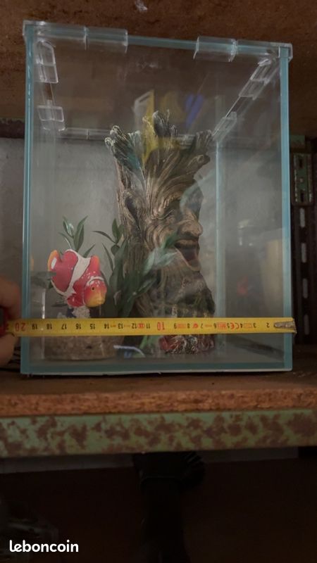 Aquarium (image 1)