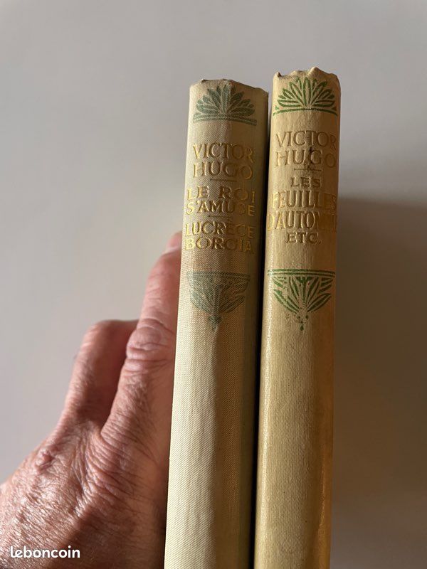 Victor Hugo (image 2)