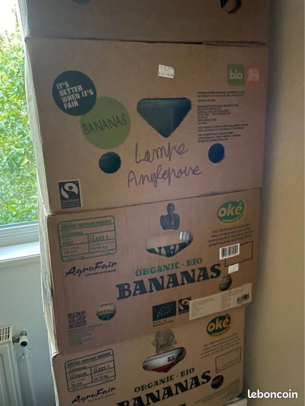 Lot de 10 cartons de bananes - Idéal déménagement (image 1)