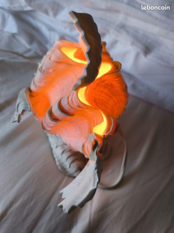 Lampe corail (image 4)