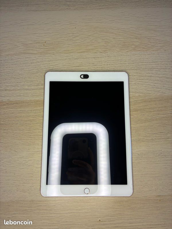 IPad Pro (image 1)