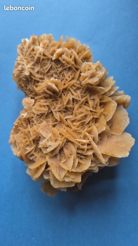 Véritable rose des sables (image 1)