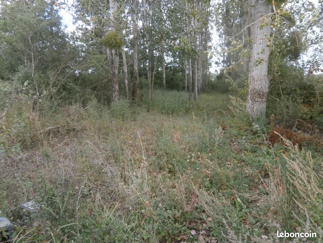 Terrain 2370 m² · à Saint-Georges-sur-la-Prée · 10 000 €