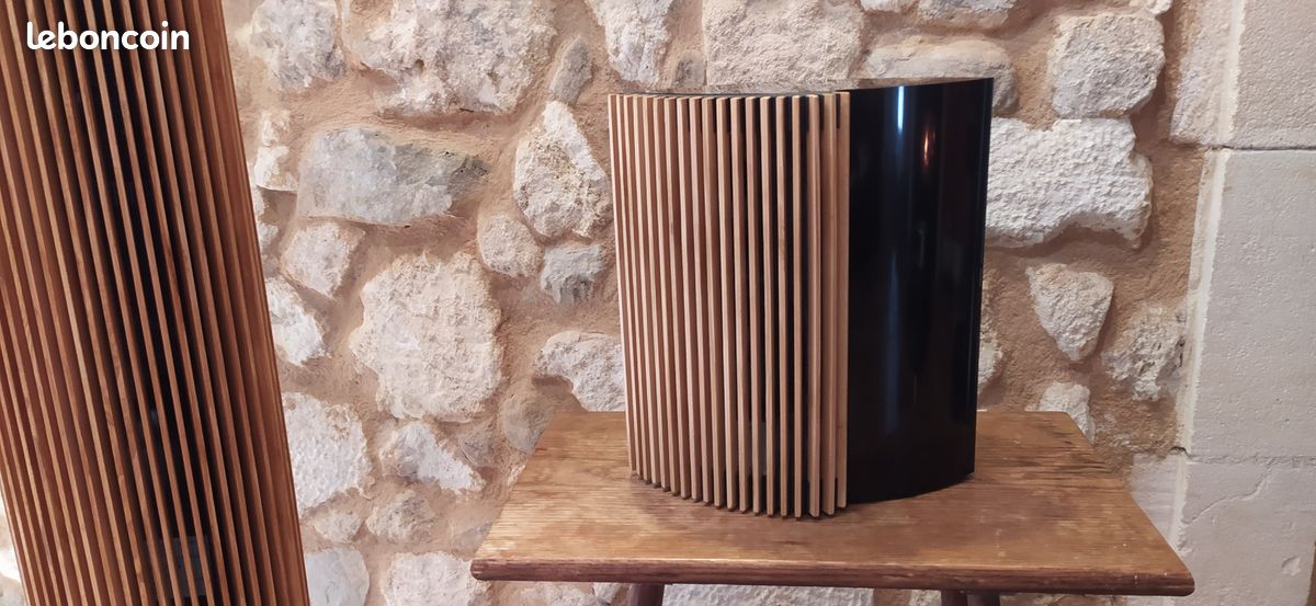 Bang & Olufsen B&O Beolab 4000 Black with wood frets - Photo 