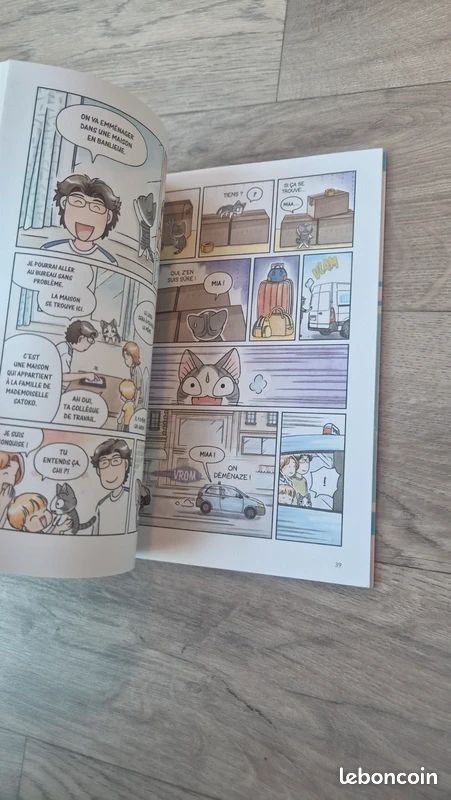 Chi une vie de chat en France (image 4)