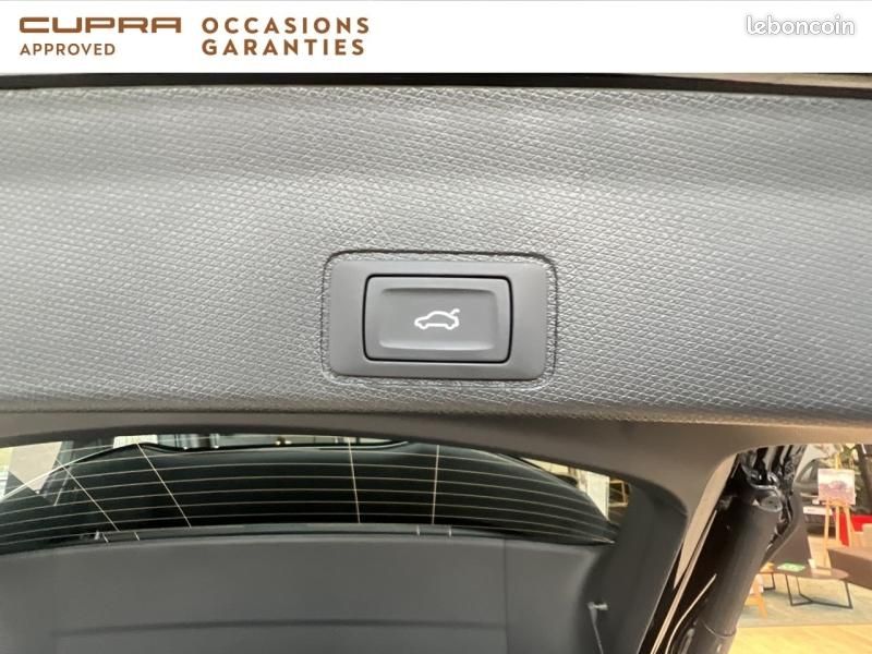 Cupra Terramar 1.5 eHybrid 272ch Tribe Edition DSG6 (image 22)