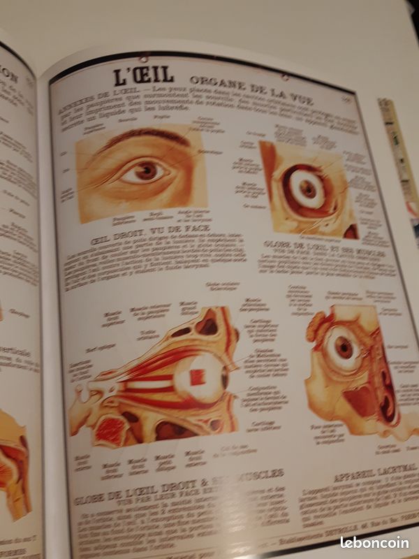 Sur les murs de la classe (image 5)