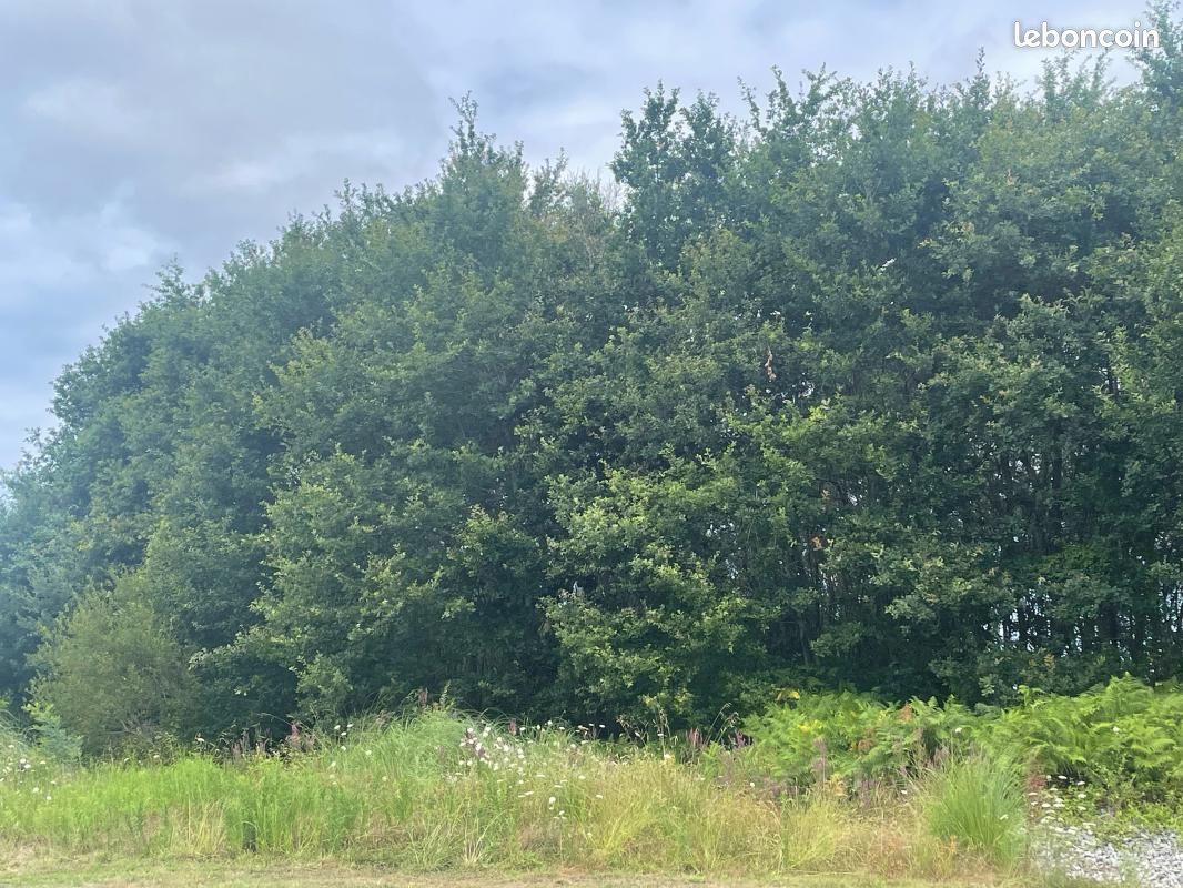 Terrain 430 m² Saubrigues · 150 000 €