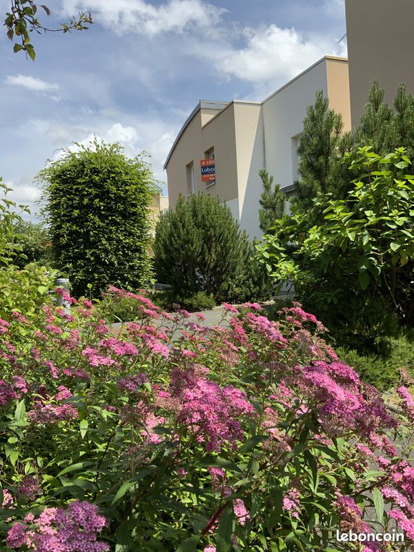 Appartement 1 pièce 23 m² · à Vire Normandie · 23 m² · 365 €/mois