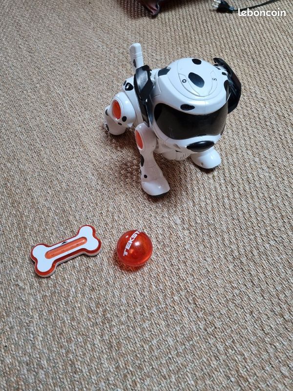 Chien robot teksta (image 1)
