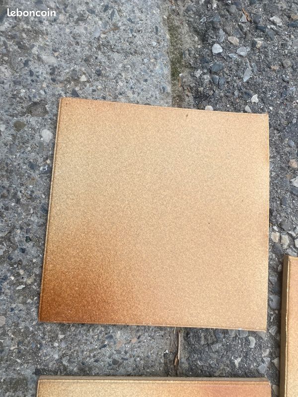 Carreaux grès de saintonge (image 2)