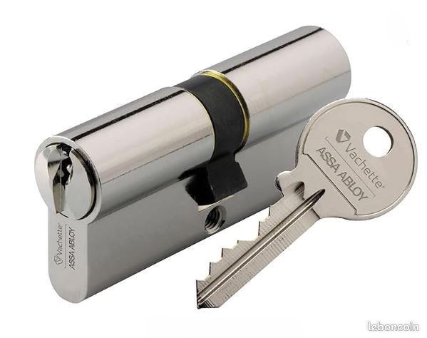 Cylindre de porte 30x30 Vachette ASSA ABLOY (image 9)