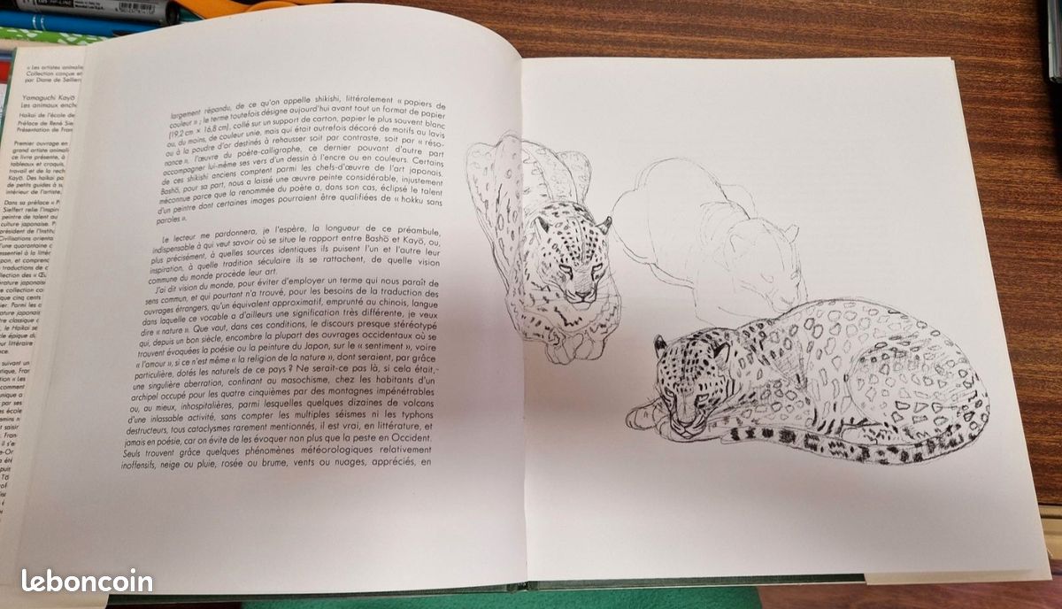 Les animaux enchanteurs de YAMAGUCHI KAYO (image 2)