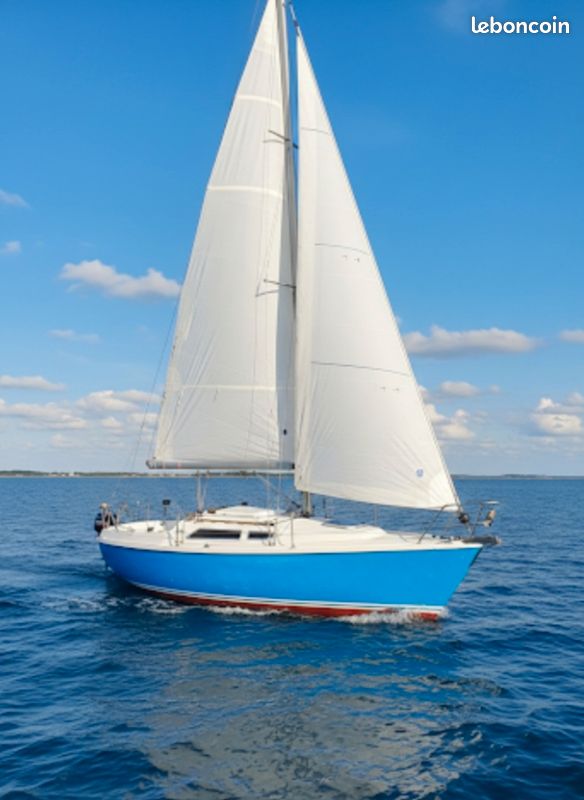 Edel 600 — Vedi foto 1