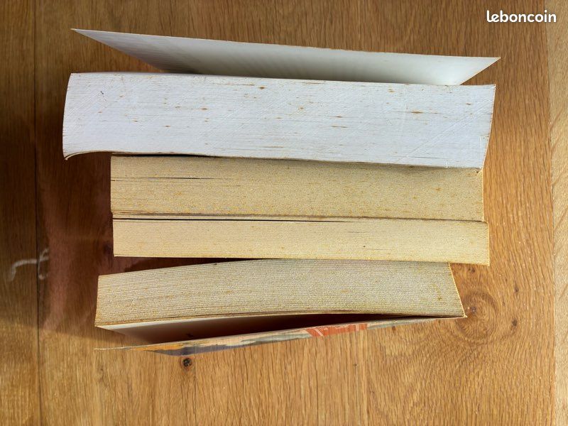 Lot 4 livres d’Emile Zola (image 5)