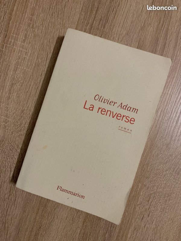 La renverse - Olivier Adam (image 4)