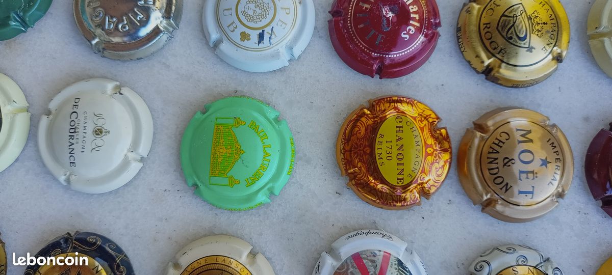 75 capsules pour Placomusophile différentes (image 5)