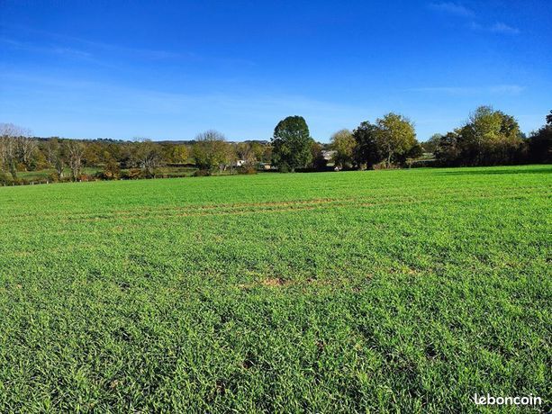 Terrain 992 m² Corronsac · 205 000 €