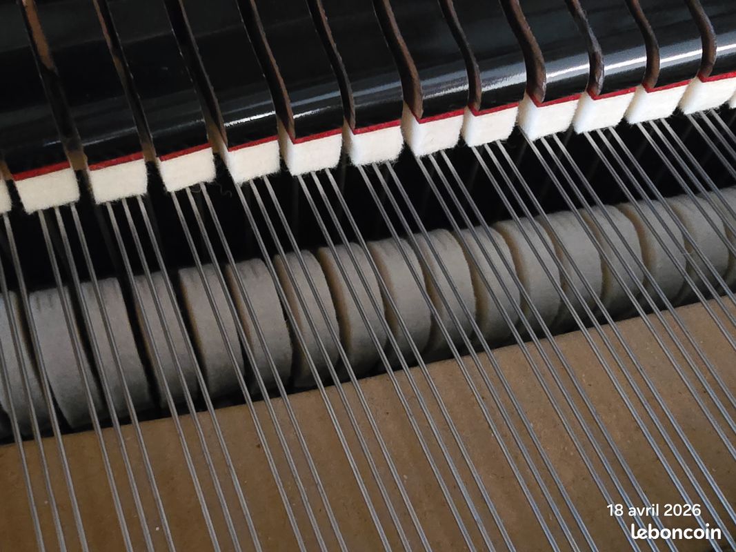 Piano quart de queue C. Bechstein model A 185cm (image 14)