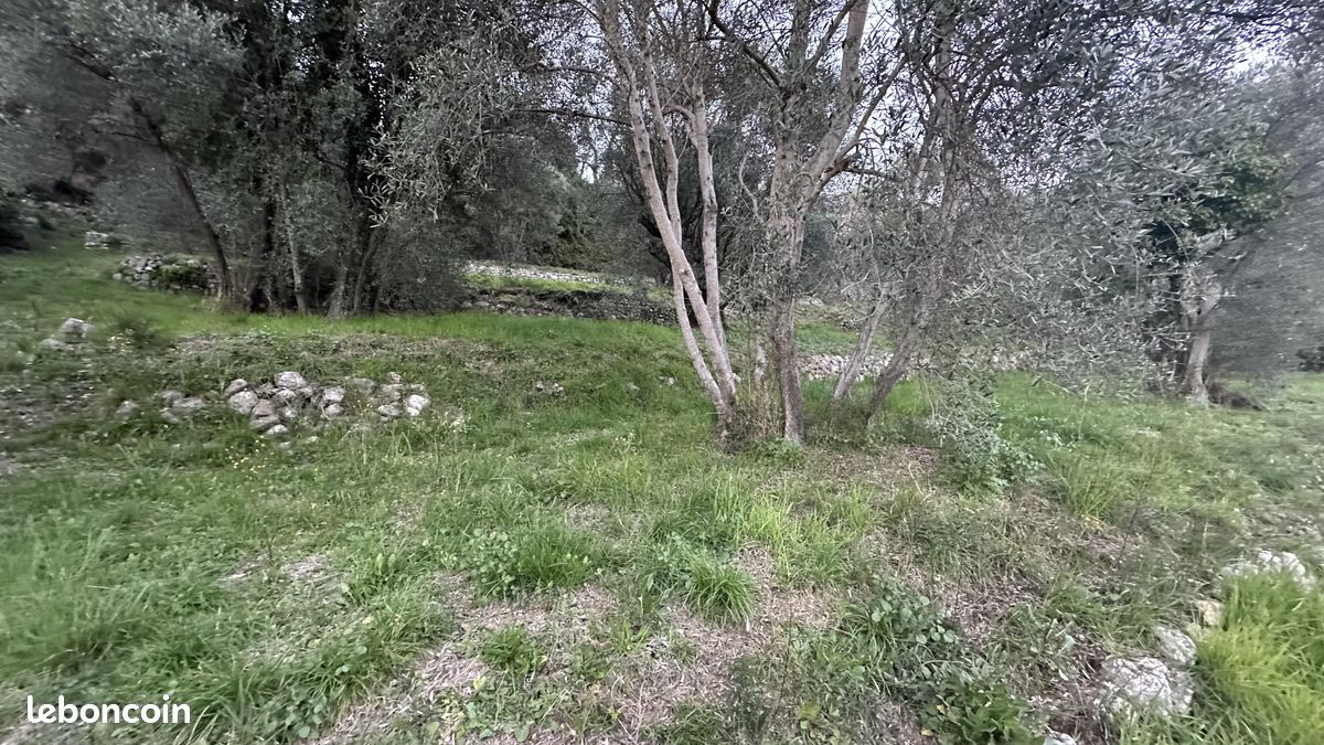 Terrain 2297 m² · à Grasse · 2 297 m² · 20 000 €