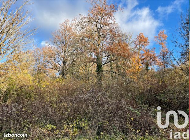 Terrain 1520 m² Tonnerre