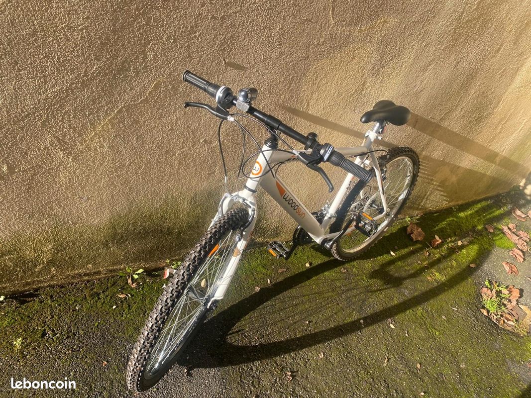 Velo de loisirs (image 1)