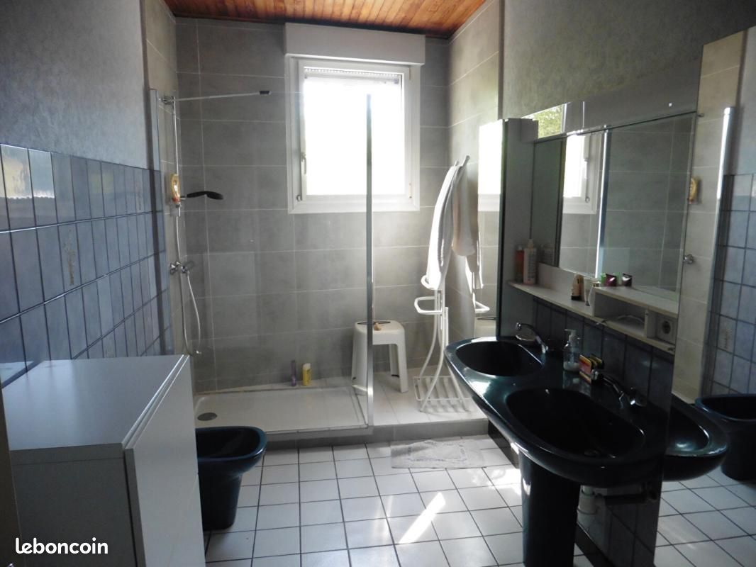 Maison 9 pièces 206 m² (image 11)