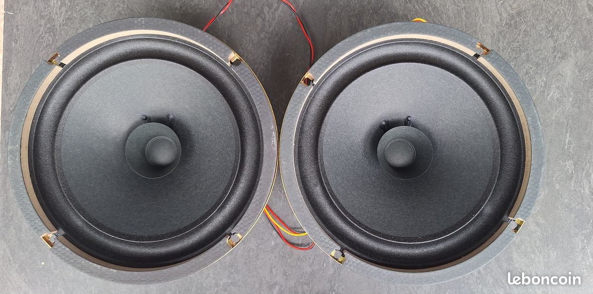 Haut-parleurs + Grilles Roland HP-330E (image 1)