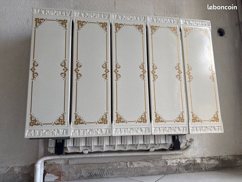 Cache radiateur en faillence (image 3)