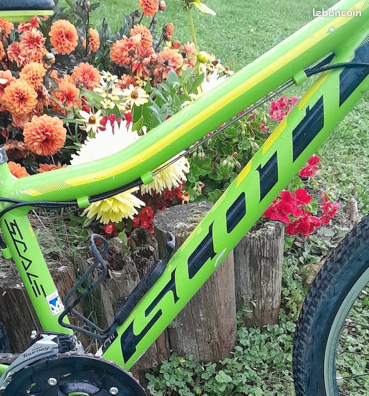 Vélo VTT SCOTT SCALE JR 24 pouces Vélos - Main Image