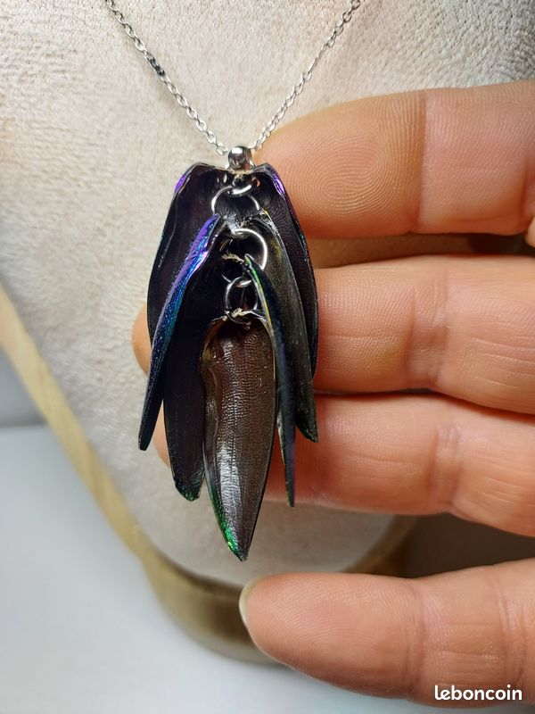 Pendentif élytres Sternocera – Vrai scarabée – Collier argent 925 – Bijou curiosités – Insecte naturel – Chaînes au choix (image 8)