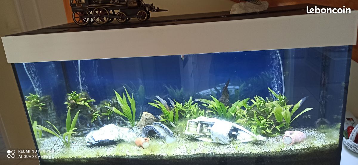 Aquarium 200 l. Tout équipé (image 3)